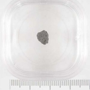 Moss Meteorite .19g