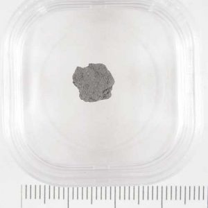 Moss Meteorite .21g
