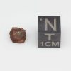Mount Padbury Meteorite 0.43g