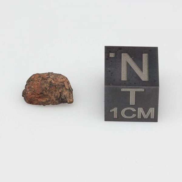Mount Padbury Meteorite 0.92g