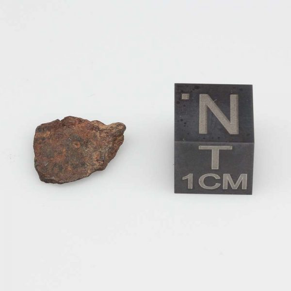 Mount Padbury Meteorite 0.75g