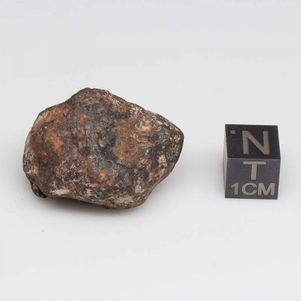 Mundrabilla Meteorite 36.8g