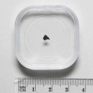 Murchison CM2 Meteorite Fragment Large