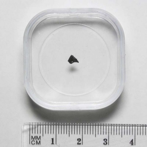 Murchison CM2 Meteorite Fragment Large