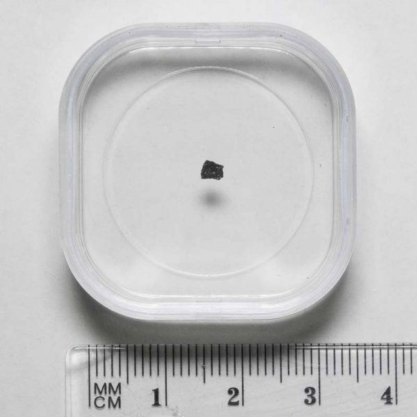 Murchison CM2 Meteorite Fragment Medium