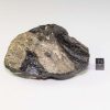 Zhamanshin Glass 230.5g