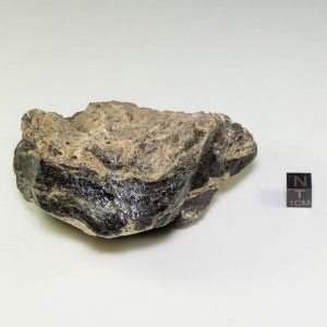 Zhamanshin Glass 253.0g