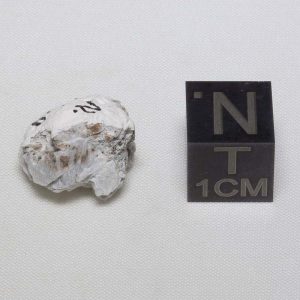 Norton County Meteorite 2.6g