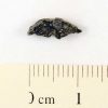 NWA 5080 Meteorite ~0.1g