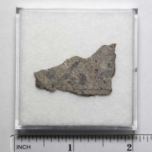 NWA N5957 Meteorite 2.5g