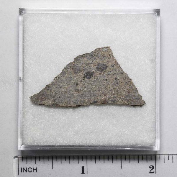 NWA N5957 Meteorite 2.9g