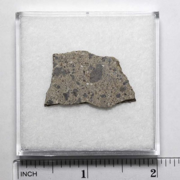 NWA N5957 Meteorite 3.3g