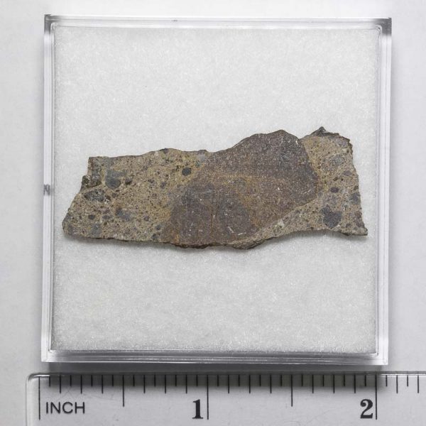 NWA N5957 Meteorite 4.0g