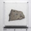 NWA N5957 Meteorite 3.9g