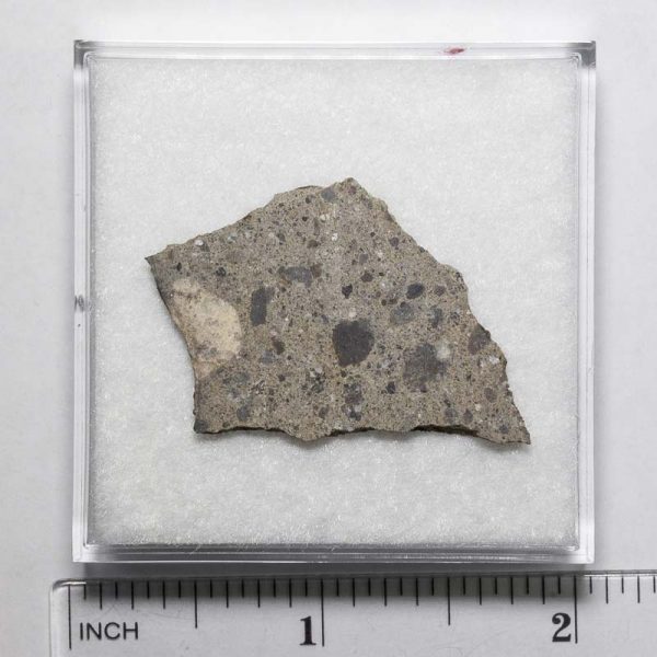NWA N5957 Meteorite 4.3g