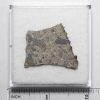 NWA N5957 Meteorite 4.6g