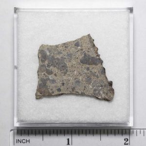 NWA N5957 Meteorite 4.6g