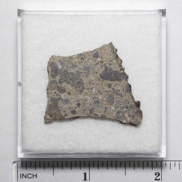 NWA N5957 Meteorite 4.6g