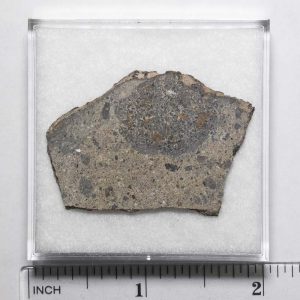 NWA N5957 Meteorite 6.9g