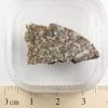 NWA 7651 Eucrite-cm Meteorite 2.6g