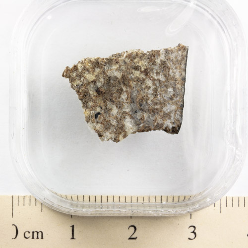 NWA 7651 Eucrite-cm Meteorite 2.1g