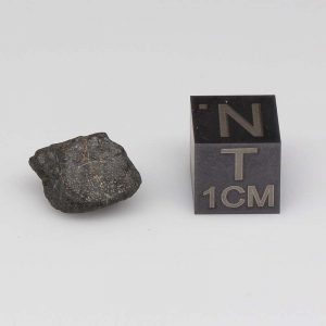 Nuevo Mercurio Meteorite 1.4g
