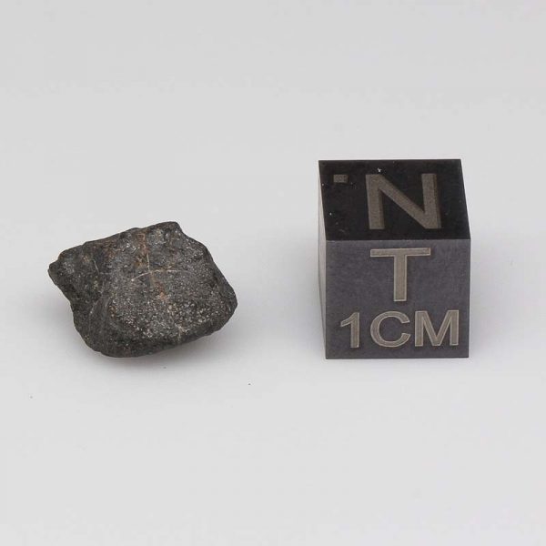 Nuevo Mercurio Meteorite 1.4g