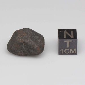 Nuevo Mercurio Meteorite 5.9g