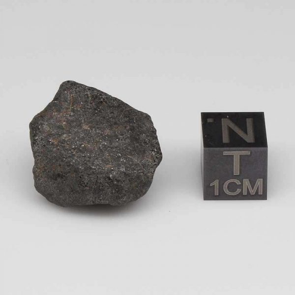 Nuevo Mercurio Meteorite 7.8g