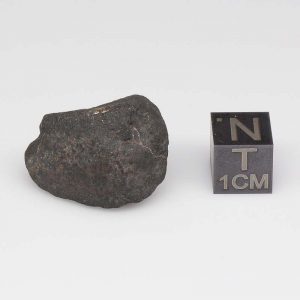 Nuevo Mercurio Meteorite 9.5g