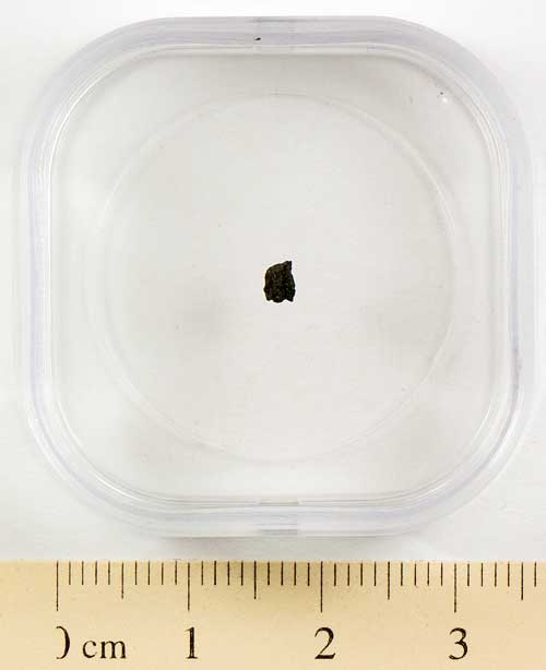 Nogoya Meteorite Fragment Medium