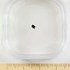 Nogoya Meteorite Fragment Small