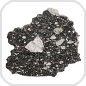 NWA 11898 Lunar Meteorite