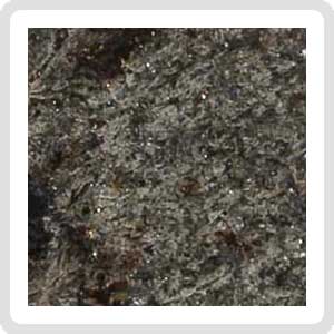 NWA 12594 (Paired) Martian Meteorite