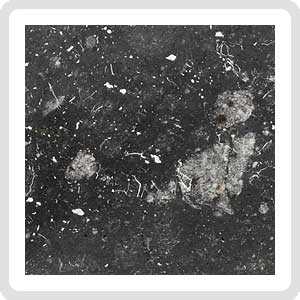 NWA 13788 Lunar Meteorite