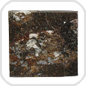 NWA 8743 Meteorite