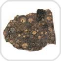 NWA 1180 Meteorite CR2