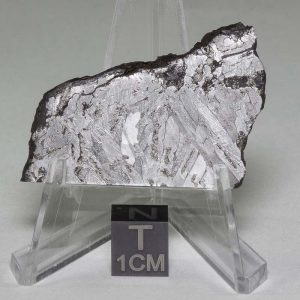 Odessa Meteorite Slice 26.0g