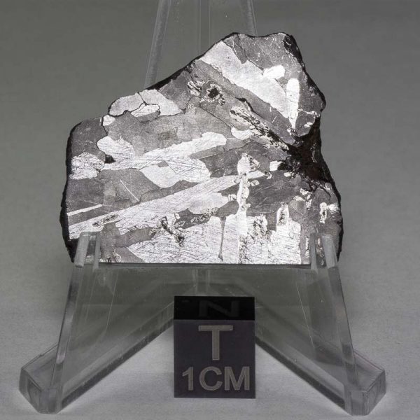 Odessa Meteorite Slice 19.5g