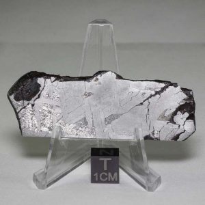 Odessa Meteorite Slice 39.0g