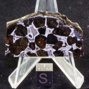 Pallasovka Pallasite Meteorite 17.6g