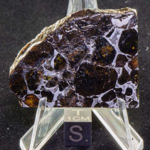 Pallasovka Pallasite Meteorite 20.4g