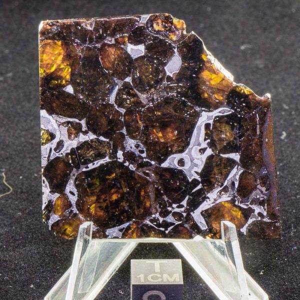 Pallasovka Pallasite Meteorite 21.0g