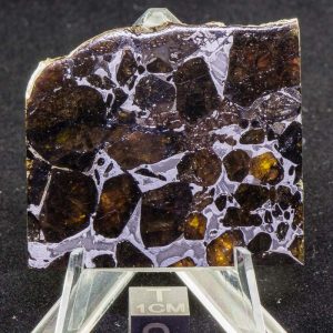 Pallasovka Pallasite Meteorite 30.3g