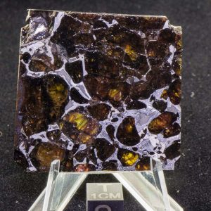 Pallasovka Pallasite Meteorite 26.5g