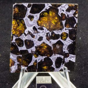 Pallasovka Pallasite Meteorite 32.0g