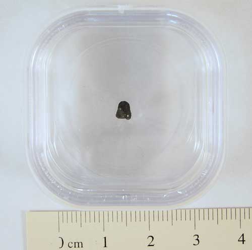 Tagish Lake Meteorite Fragment Large