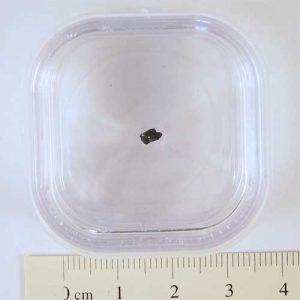 Tagish Lake Meteorite Fragment Medium