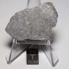 Tamdakht Meteorite 21.9g Endpiece