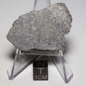 Tamdakht Meteorite 21.9g Endpiece